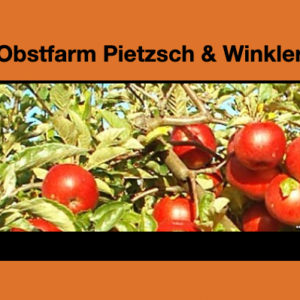 Logo Pietzsch & Winkler